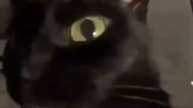 Простите за долгий неактив учеба 😞 смотреть онлайн