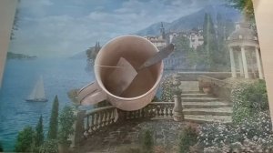 90 ДНЕЙ В КОМПАНИИ КОШЕЧЕК АШЕТ ЗАКОНЧЕННЫЕ РАСКРАСКИ