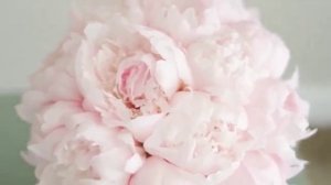 Гаряев-Матрицы.РФ__Изменить жизнь, откорректировать судьбу реально Медитация для самостоятельной-tmp