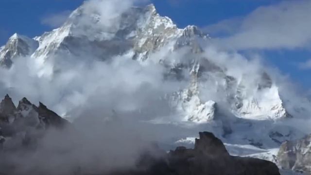 Foxy Paradoxy   Japan Crane Fly