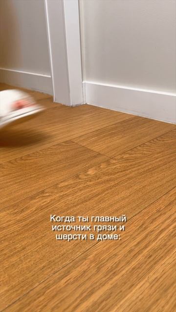 Ругать за такое? смотреть онлайн