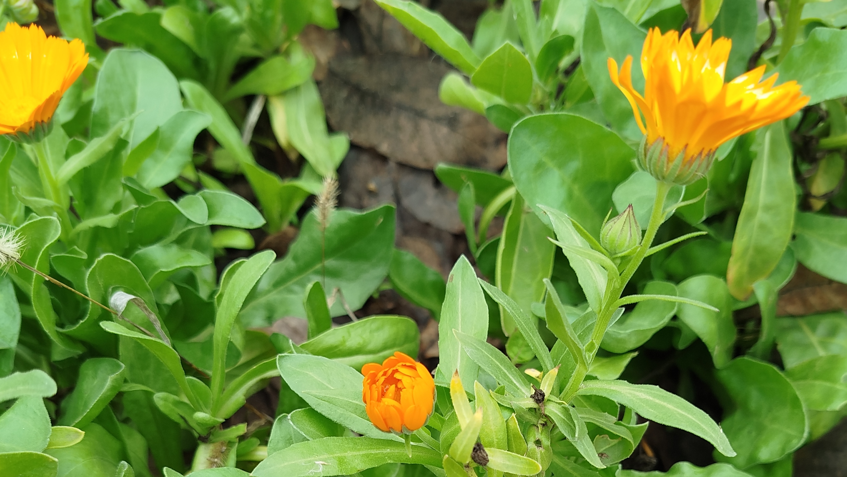 Прошу прощения...Я беру паузу..