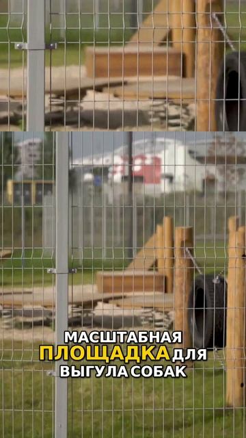 Обзор «Клубного города на реке Primavera» Прогулка по набережной Детские площадки, спорт и собаки! смотреть онлайн