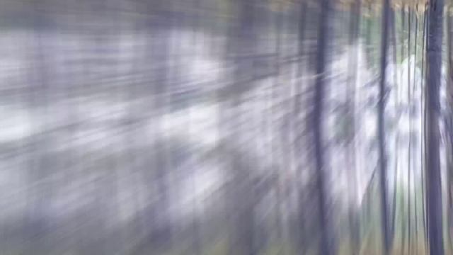 DIGGERS-ОТЩЕЛЬНИК