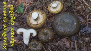 Холодное соление чёрных груздей.