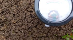 🧐PH метр ZD-05. Полевые испытания