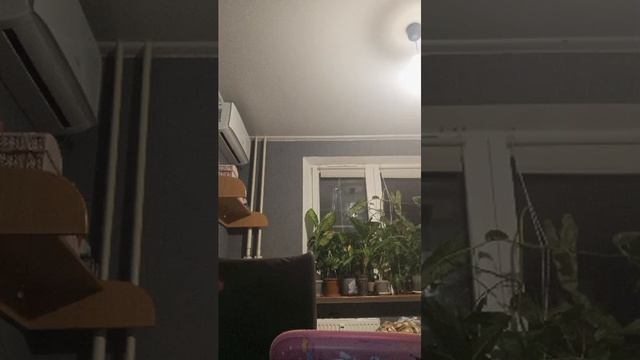 собираю смотреть онлайн