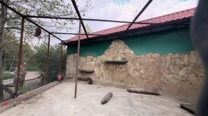 Лида с Елисеем полностью игнорят Люську, она терпела, терпела и ПСИХАНУЛА)))