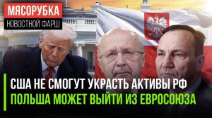Убытки США от кражи денег РФ будут огромны || Польшу «тащат» из Европы || ЕС готовится напасть на РФ