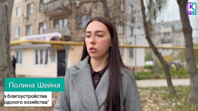 Масштабные осенние работы по высадке деревьев продолжаются в Керчи смотреть онлайн