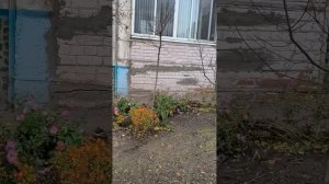 Во дворе 20.11.25.