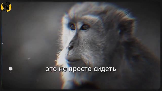 (87 УРОК) Как терпение переворачивает ситуацию в твою пользу СТОИЦИЗМ смотреть онлайн