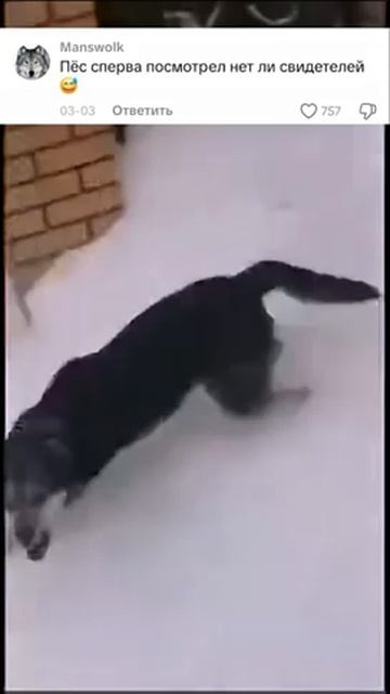 Зря он его послал смотреть онлайн