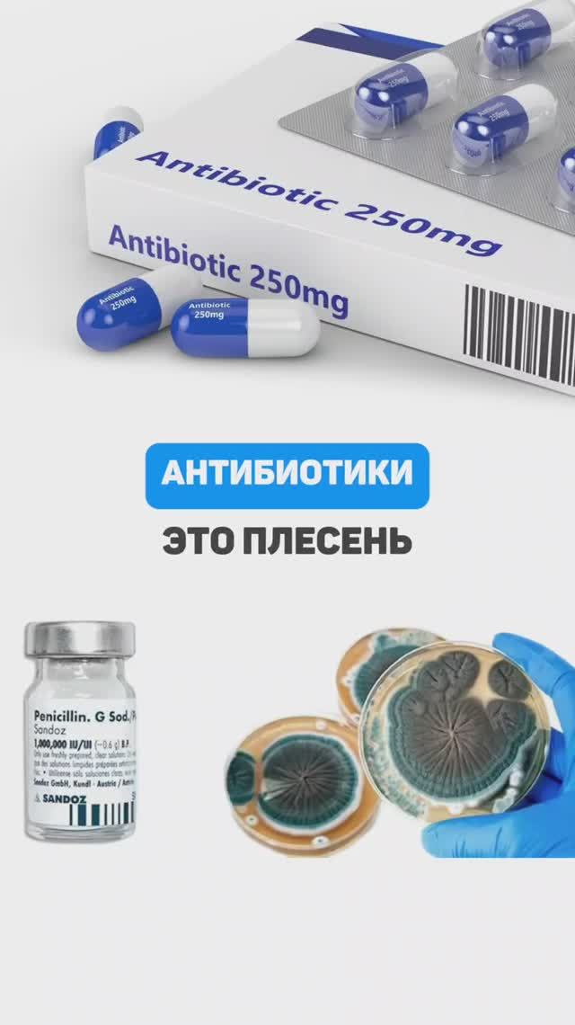Антибиотики - это плесень. Семейный доктор Алена Братишко смотреть онлайн