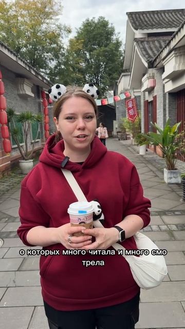 Отзыв из лагеря в Китае, город Чэнду 2