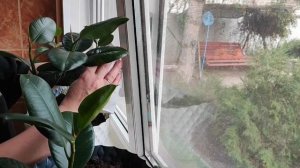 НЕПРИЯТНАЯ СИТУАЦИЯ ПРОИЗОШЛА У МУЖА/ ХОТЕЛ КАК ЛУЧШЕ А ПОЛУЧИЛОСЬ НАОБОРОТ