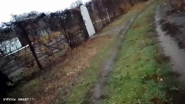 природа Нововоронежа