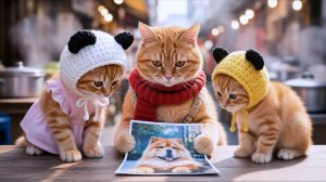 Котики прощаются с другом и возвращаются в город