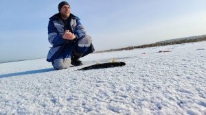 Первый лёд 2025-2026 на Алтае. Хорошая щука на жерлицы. Рыбалка на жерлицы.