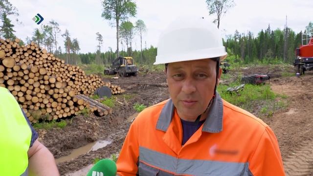 Пусть меня научат. Лесозаготовка. 10.11.2025 смотреть онлайн