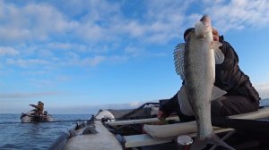 Да тут клондайк! Всего 2 метра глубины. Бешеный клёв на спиннинг