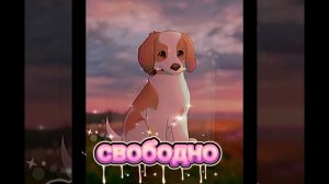 выбирайте 😚🫶🏻