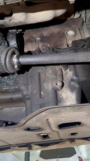 ТАКИХ "ТЕРПЕЛИВЫХ" МАШИН БОЛЬШЕ НЕ БУДЕТ НИКОГДА!!!!!!!!!!!!!!!!!!!!!!!!!!!!!!!!!!!!!!