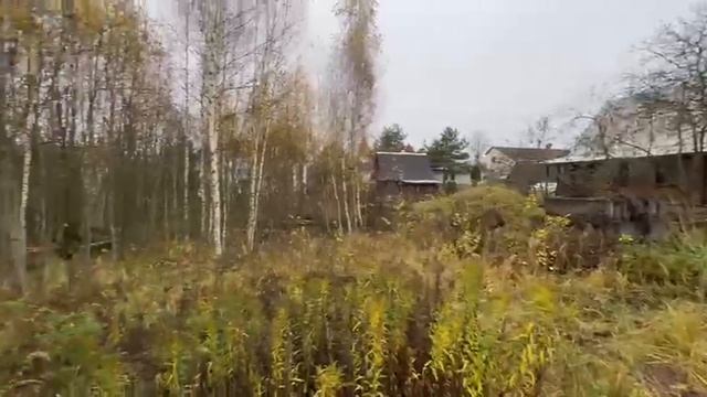 Видео смотреть онлайн