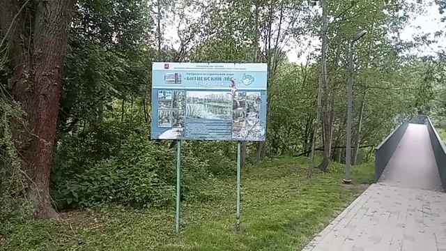 Битцевский лес/Лето/Парк/Июнь 2023 год смотреть онлайн