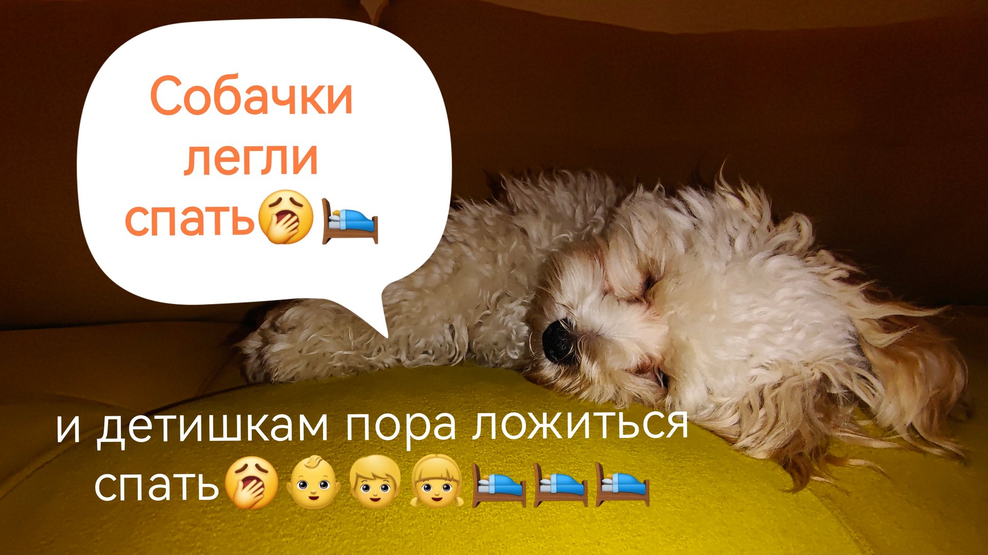 Детям пора спать. Собачка уже легла спать 🐶🛌