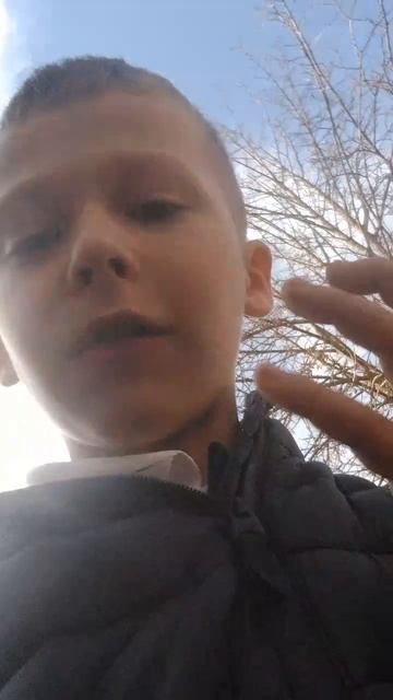 сори смотреть онлайн