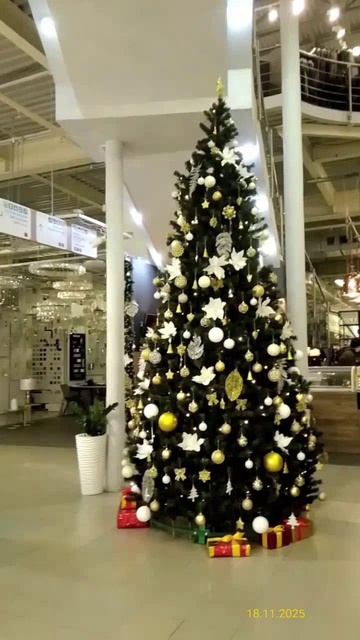 Новогодняя елка в торгово-выставочном комплексе «Миллион Мелочей» 18.11.2025