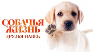 Собачья жизнь: Друзья навек
