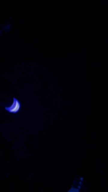 Blacklight смотреть онлайн