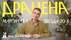 Драцена — звезда 90-х | Уход, сорта, воспоминания