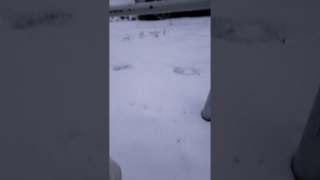 1 часть смотреть онлайн