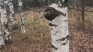 монеты Александра