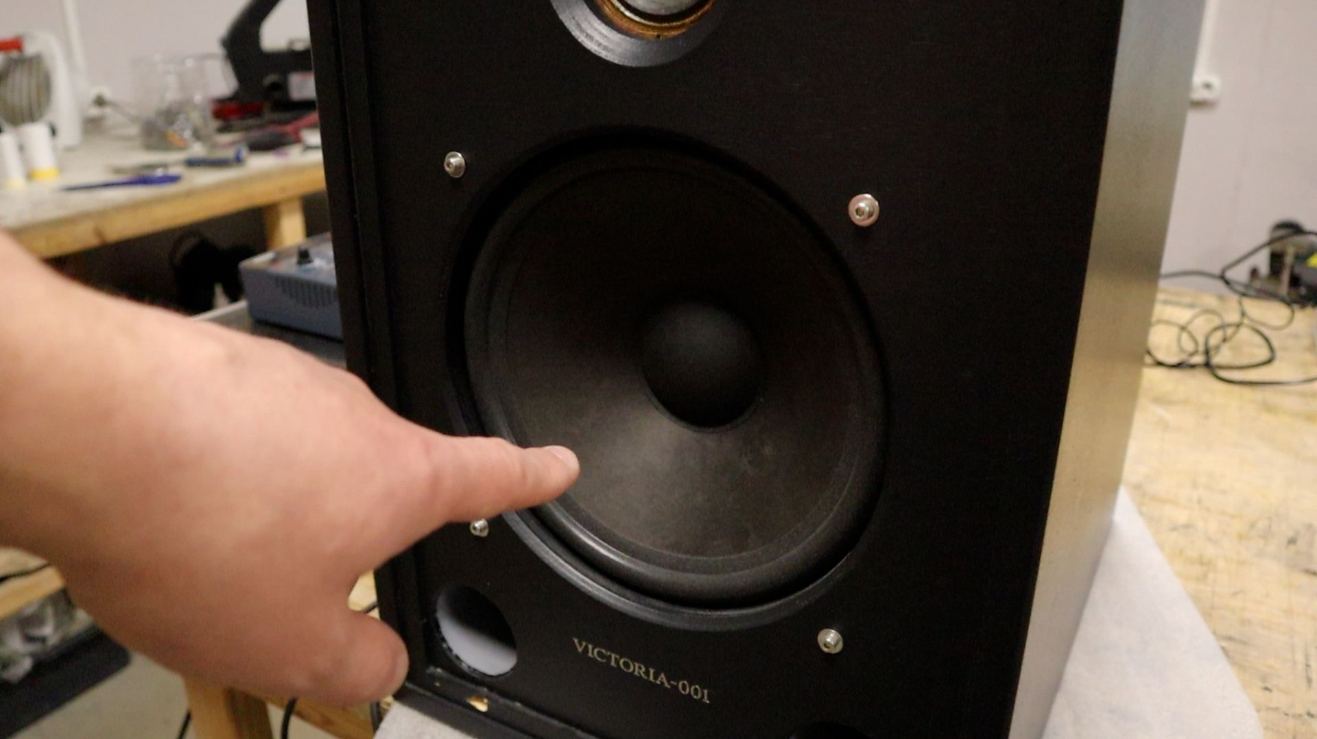 Акустические системы ВИКТОРИЯ-001.