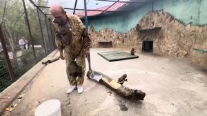 Люська получает от меня ВЕНИКОМ по о’пе и идет в атаку