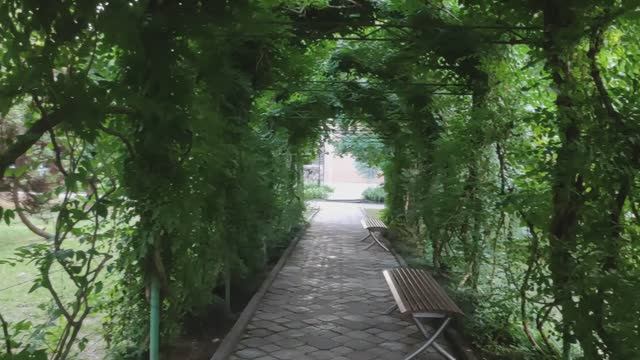 Незабываемый отдых в санатории 