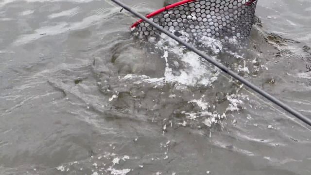 IMG_5336 смотреть онлайн