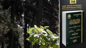 Всё ли записывается ангелами, что говорит человек? | Болезнь и исцеление | №349