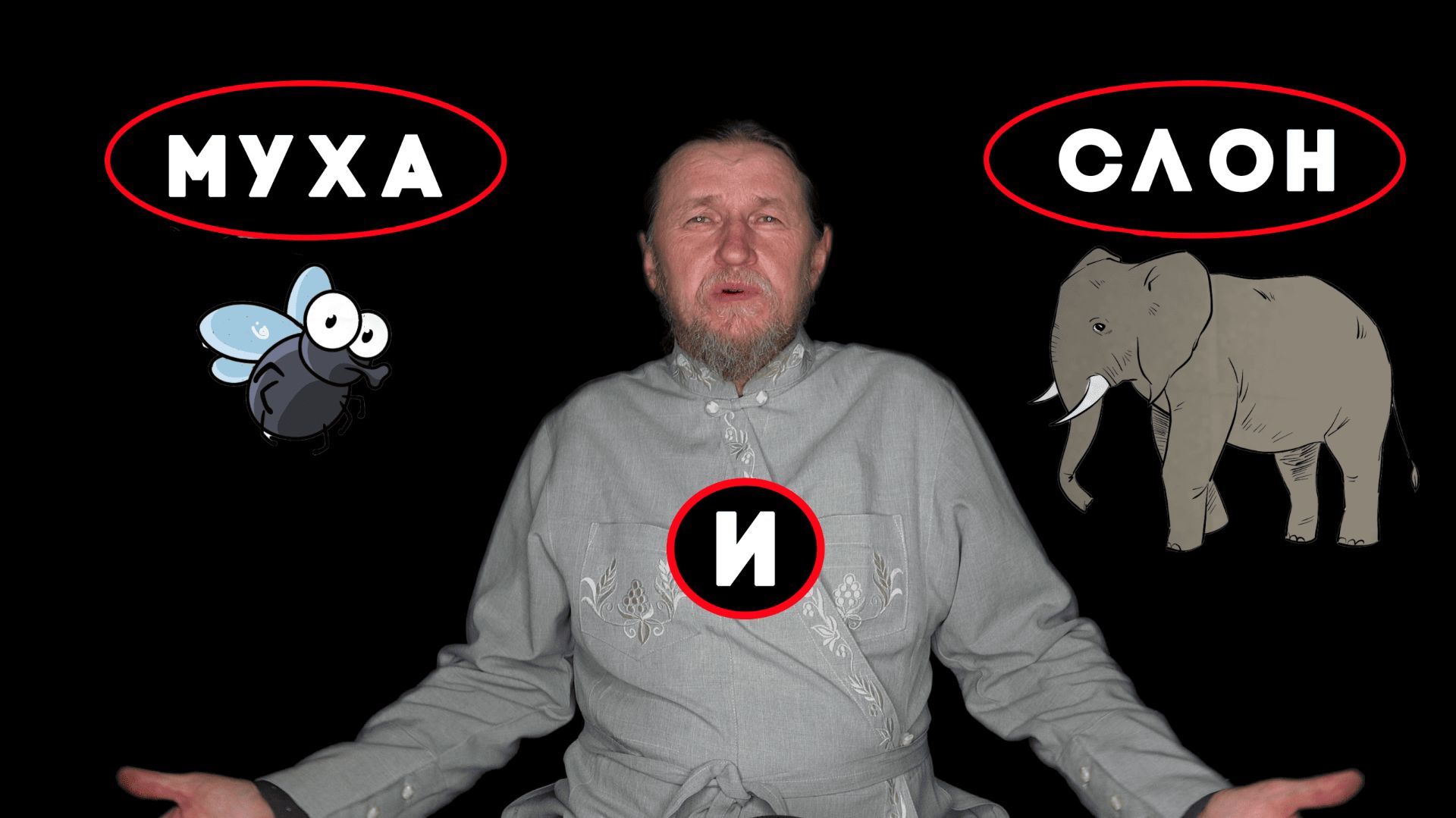 Муха и слон