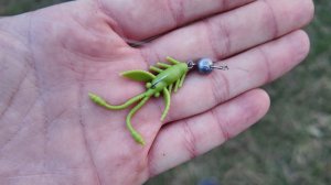 МНЕ СТОИЛО ТОЛЬКО НАСАДИТЬ ЭТОГО РАЧКА. МИКРОДЖИГ ОСЕНЬЮ НА РЕЧКЕ