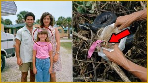 Девочка Пропала в Эверглейдс в 1986 — Спустя Года Охотник Находит УЖАС в Логове Змеи...