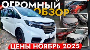 БОЛЬШОЙ ОБЗОР РЫНКА - ЦЕНЫ ноябрь 2025❗ Note, Raize, Prado, Freed, Filder, Noah, Stepwgn, Forester