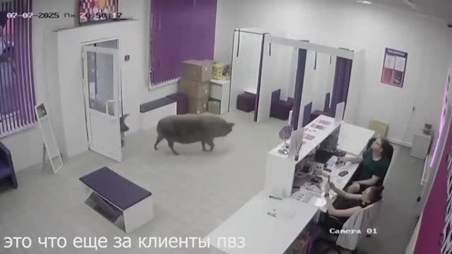 🍿 СКАНДАЛЫ в ПВЗ | Возврат не удался смотреть онлайн