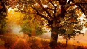 Михаил Дубков ...Листопадом нежно обняла за плечи,,,  супер хит 2025