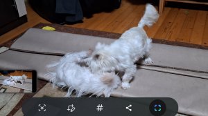 Все...как всегда...бои без правил...