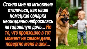 Жизненные Истории/Наша немецкая овчарка набросилась на годовалую дочь, но то, что произошло